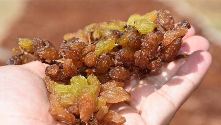 Kuru üzüm alım fiyatı 2025 ne kadar?