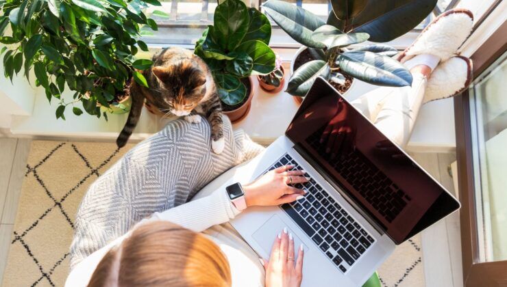Orta vadeli programda yeni nesil çalışma modelleri ve güvenceli esneklik öne çıkıyor