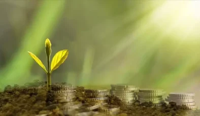 Özel sektörün yeşil dönüşümüne finansal destek