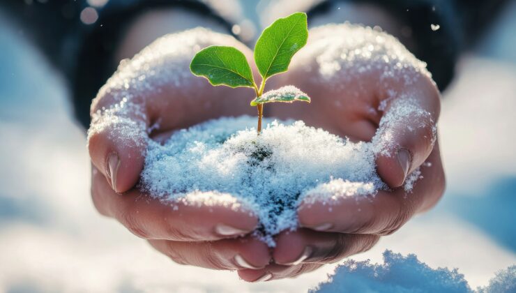 Yenilenebilir yatırımlar kışın dengesi olacak