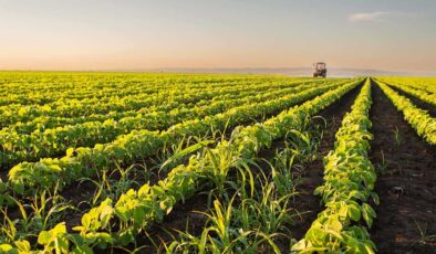 FAO-Türkiye ortaklığıyla tarımda şeffaf ve etkili izleme dönemi