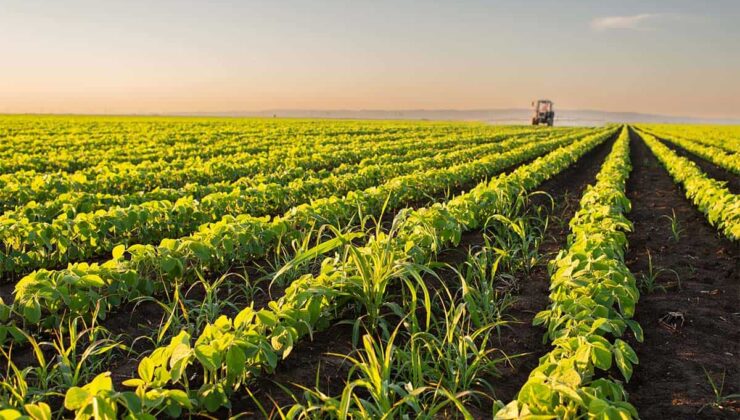 FAO-Türkiye ortaklığıyla tarımda şeffaf ve etkili izleme dönemi