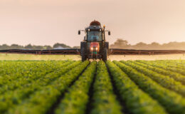 Üreticiye 46,5 milyar liralık destek paketi