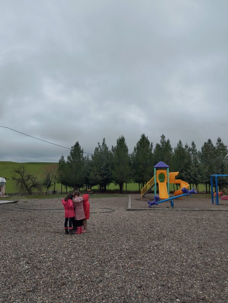 WhatsApp Image 2025 10 15 at 16.26.33