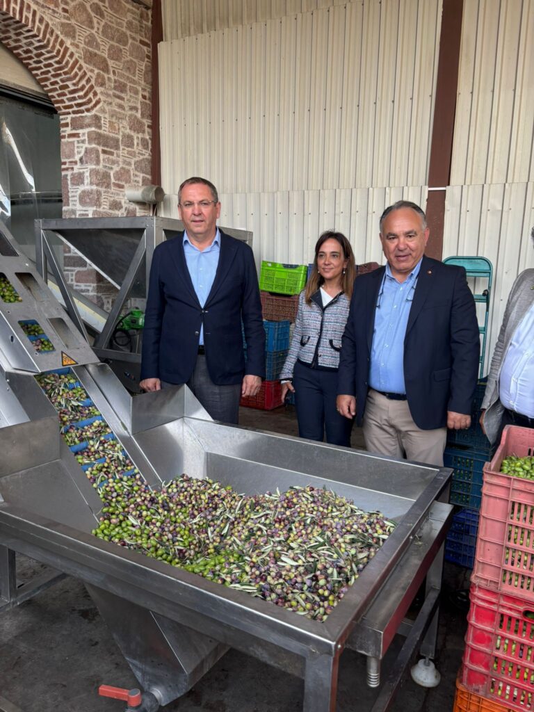 WhatsApp Image 2025 10 20 at 09.33.56