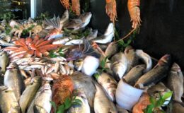 Bir balık bize bir balık devlete