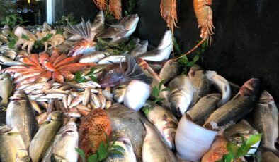 Bir balık bize bir balık devlete