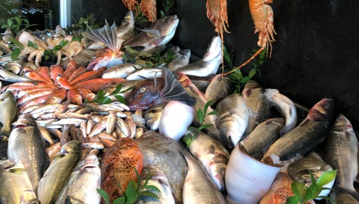 Bir balık bize bir balık devlete