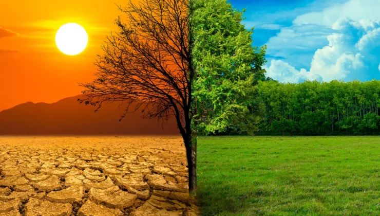 Su teknolojileri girişimlerine güçlü destek!