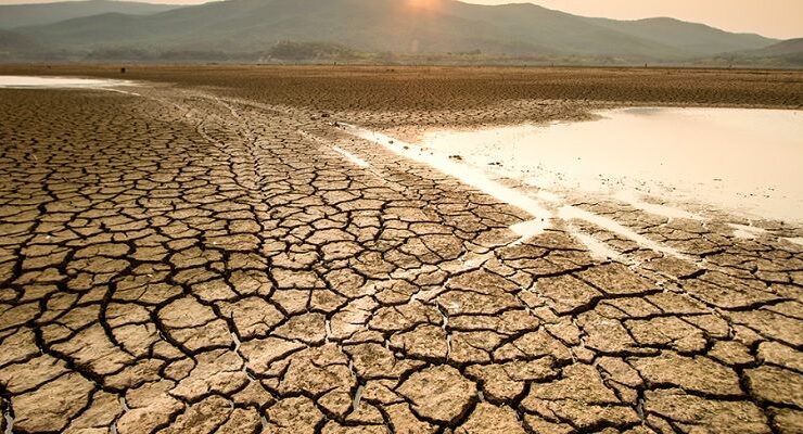 İklim krizi çözümü çiftçi eğitiminde