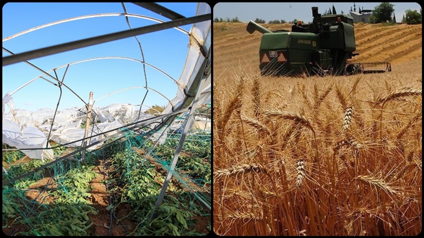 thumbs b c a457174033395c098fd4dfda1e049eba