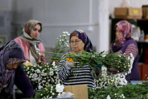 02.06 13 3 New folder New folder 9 AA 39712786