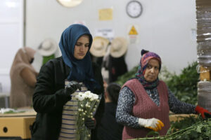 02.06 13 3 New folder New folder 9 AA 39712790