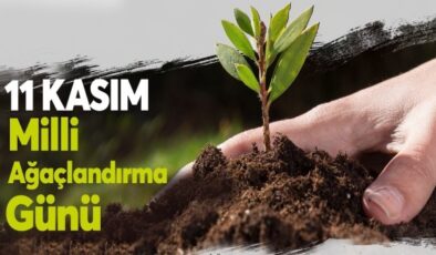 Yeşil vatan seferberliği başladı, hedef 15 milyon fidan