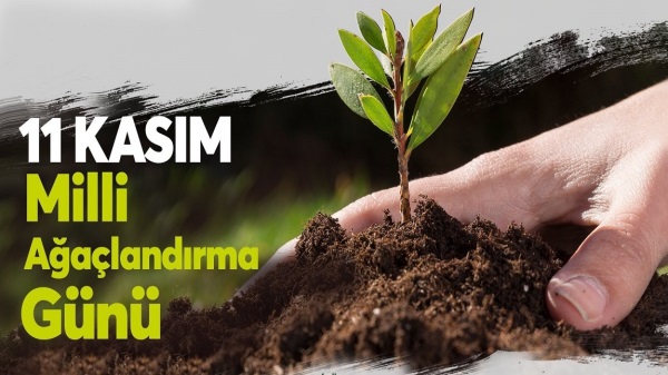 Yeşil vatan seferberliği başladı, hedef 15 milyon fidan