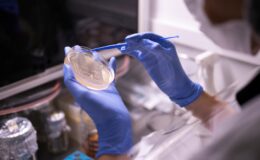 Bilimle küresel liderliğe yürüyor