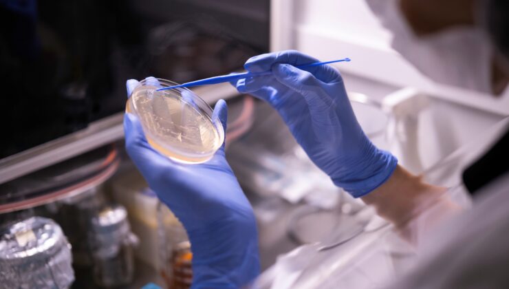 Bilimle küresel liderliğe yürüyor