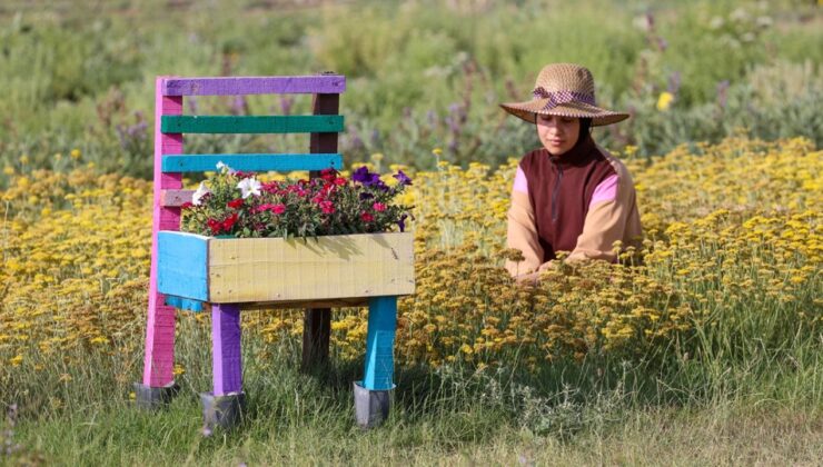 Bitki bazlı gıdalarda Türkiye’nin ekonomik potansiyeli büyüyor
