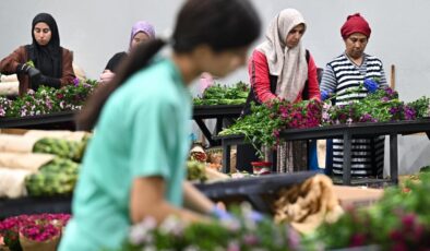 Çiçek ihracatında zirve: Sektör 2025’e rekorla giriyor