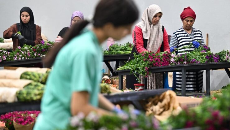 Çiçek ihracatında zirve: Sektör 2025’e rekorla giriyor