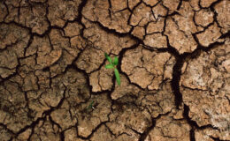 Dünya Bankası’ndan kritik uyarı: Her yıl 324 milyar metreküp tatlı su kaybı yaşanıyor