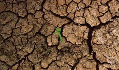 Dünya Bankası’ndan kritik uyarı: Her yıl 324 milyar metreküp tatlı su kaybı yaşanıyor