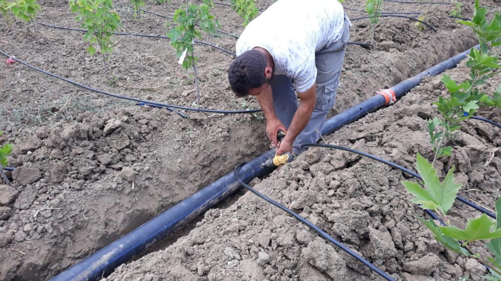 57fb2250 8bae 4567 b6a2 cd81be673e3c