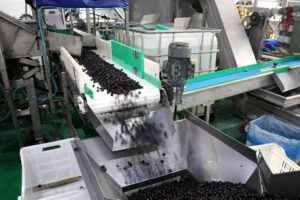 AGUSTOS 2024 zeyicc1