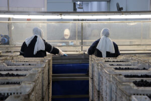 AGUSTOS 2024 zeyicc3