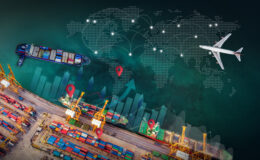 Onlar bizim kıymetlimiz