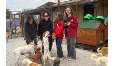 BAT gönüllülerinden Mor Pati Barınağı’na destek