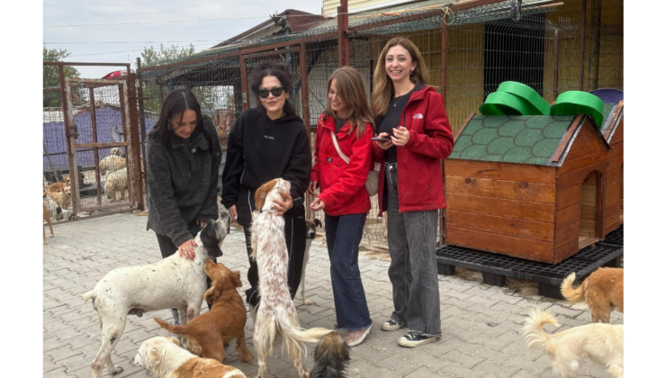 BAT gönüllülerinden Mor Pati Barınağı’na destek