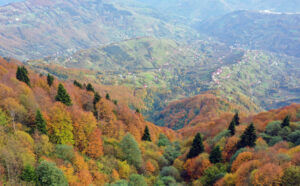 Ekoturizmden ekonomiye 2 milyar lira katkı 6 Hidirnebi yaylasi