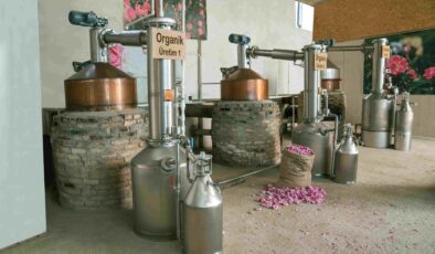 Osmanlı’dan gelen şifa: Türk gülü küresel raflara taşınıyor