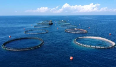 Bakanlık 7 balık türünü gıda amaçlı tescilledi