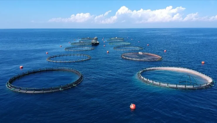 Bakanlık 7 balık türünü gıda amaçlı tescilledi