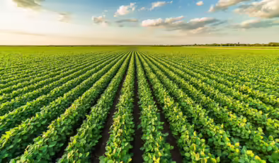 Köklerinden güç aldı tarımın reçetesini sağlıkla yazdı