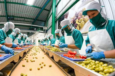 Mersin, gıda sanayinde Ar-Ge hamlesi başlatıyor