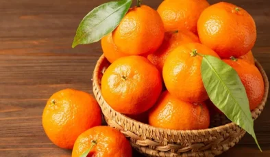 Türkiye’nin mandalina ihracatı ekimde yüzde 144 arttı