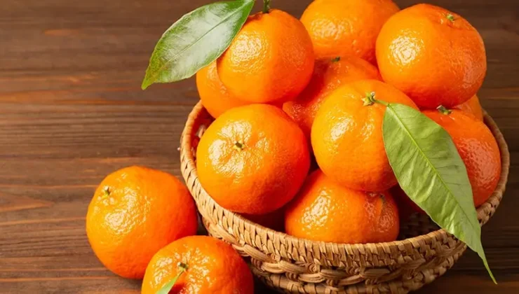 Türkiye’nin mandalina ihracatı ekimde yüzde 144 arttı