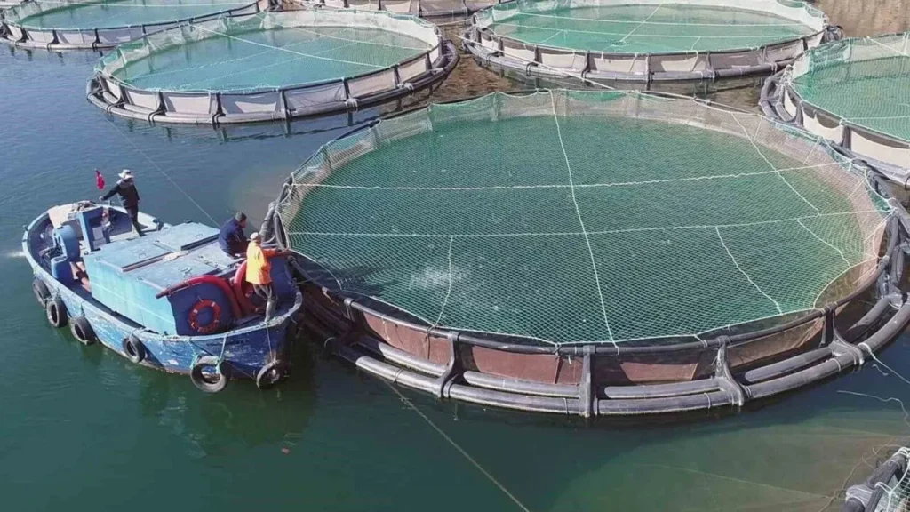 mart ayinda su urunlerinden 135 milyon dolarlik ihracat