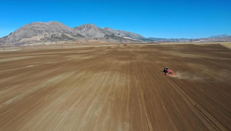 FAO’dan Türkiye’ye 8,1 milyon dolarlık destek