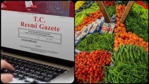 thumbs b c 202a9d5c975634a7db322ebcb6894d25