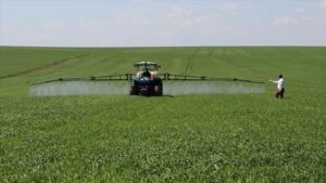 thumbs b c 2519640c717aef45b51947793990d77c