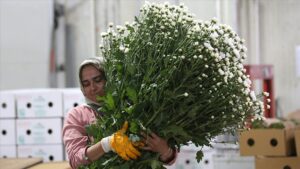 thumbs b c 516ccbc87e0e56a806a4ab9c69c85b1d