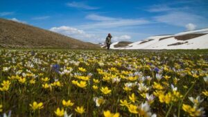 thumbs b c 69f116cf140900cee2efd61cd439ba2d