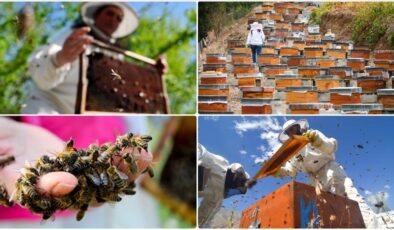 Bal ihracatında rekor artış: 10 ayda 1,8 milyon dolar