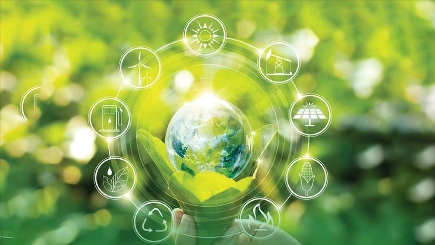 thumbs b c 6e964760e37aaa9067e70cd81e59ad10