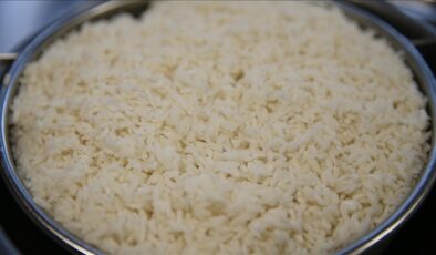 İpsala pirinci AB coğrafi işaret tesciliyle Avrupa’ya açılıyor