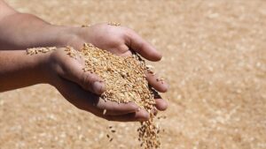 thumbs b c 8937dcd7c1eee378104491cdd49577a6